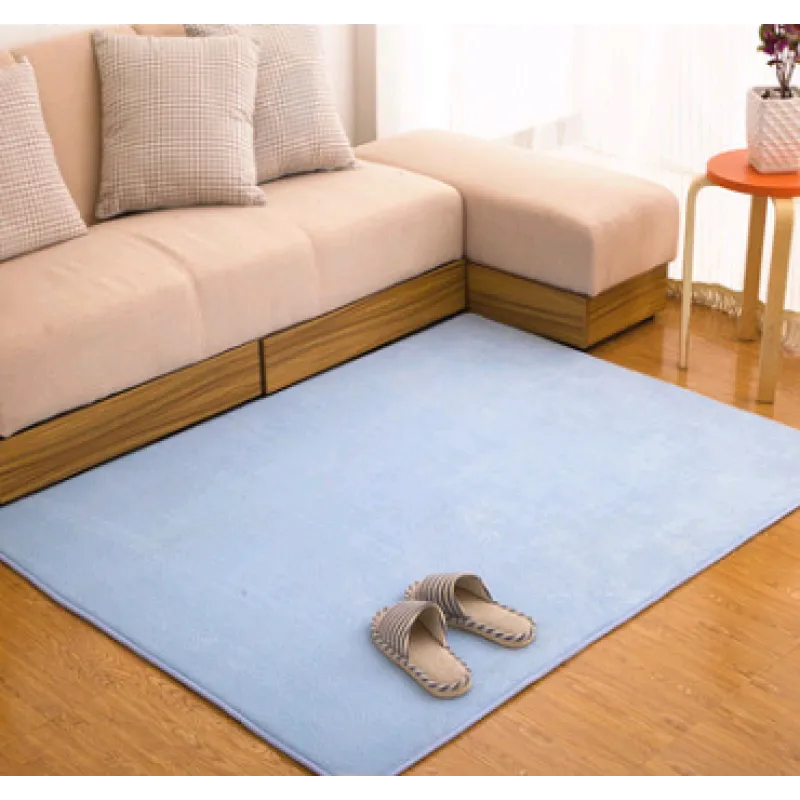 Memory Cotton Coral Velvet Non-Slip Carpet for Home