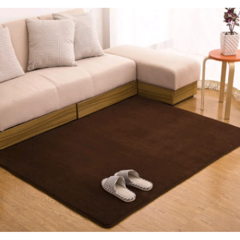 Memory Cotton Coral Velvet Non-Slip Carpet for Home