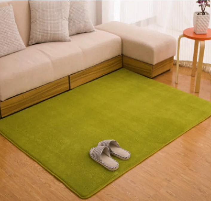 Memory Cotton Coral Velvet Non-Slip Carpet for Home