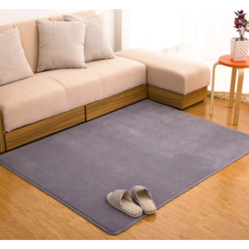 Memory Cotton Coral Velvet Non-Slip Carpet for Home