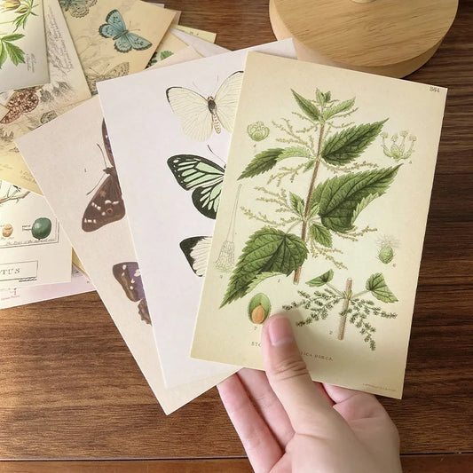 Forest Plant Series Decorative Postcard Wall Sticker