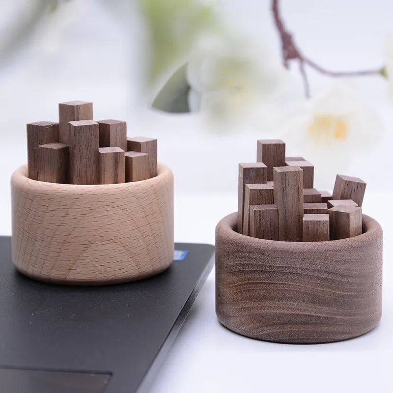 Modern Simplicity Wooden Diffuser