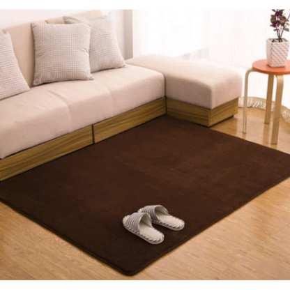 Memory Cotton Coral Velvet Non-Slip Carpet for Home