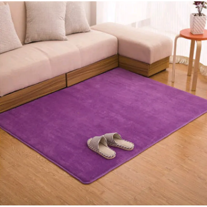 Memory Cotton Coral Velvet Non-Slip Carpet for Home