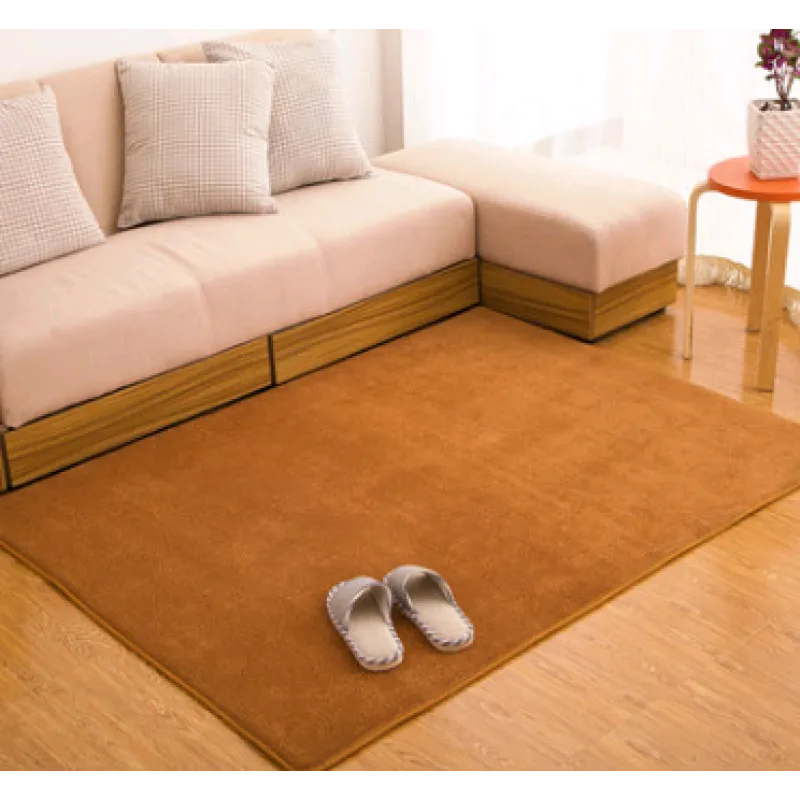 Memory Cotton Coral Velvet Non-Slip Carpet for Home