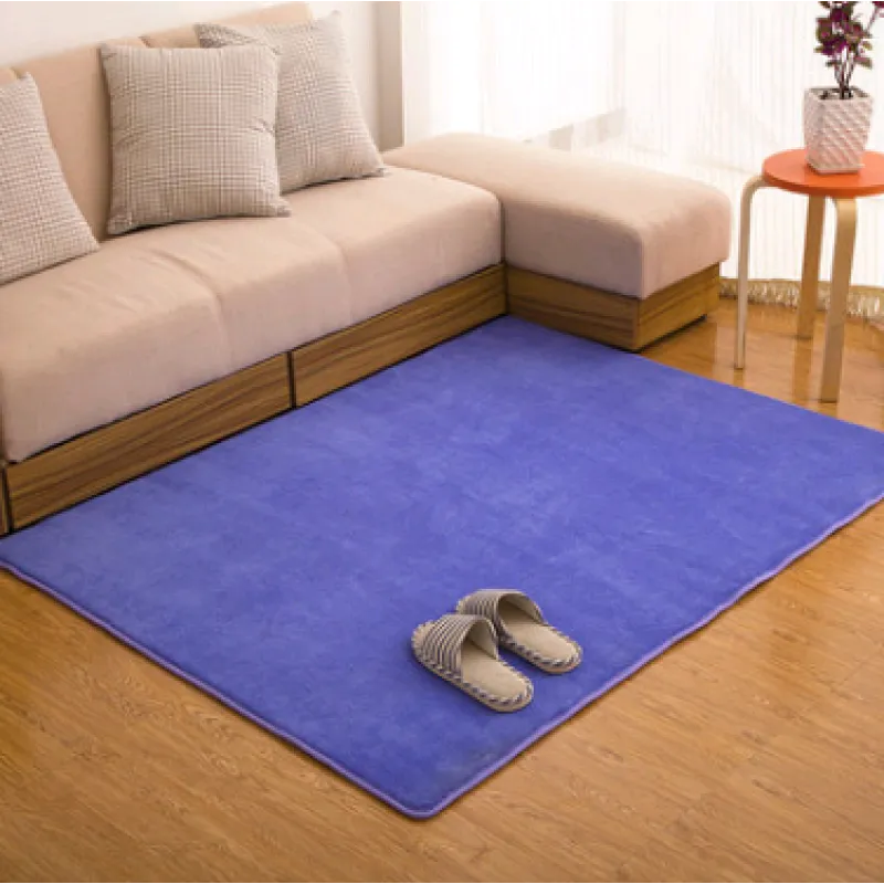 Memory Cotton Coral Velvet Non-Slip Carpet for Home